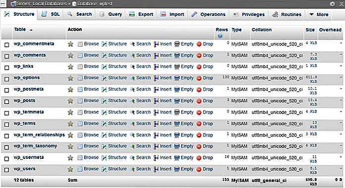 Las mejores prácticas para recortar su base de datos de WordPress