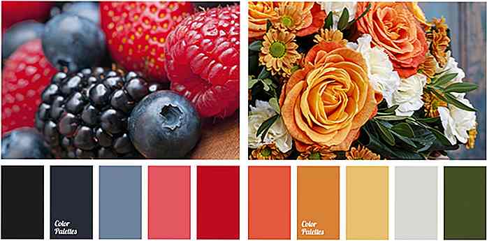 Krijg kleurenschema's gegenereerd op basis van stockfoto's met ColorPalettes.net