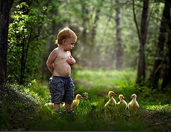 8 fotógrafos que gobiernan la fotografía creativa de los niños