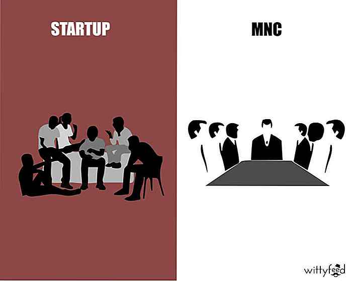 Forskjeller mellom oppstart og MNC [PIC]