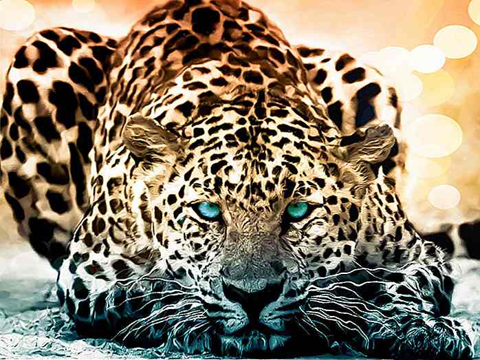 50 Amazing Wildlife & Animal Wallpapers