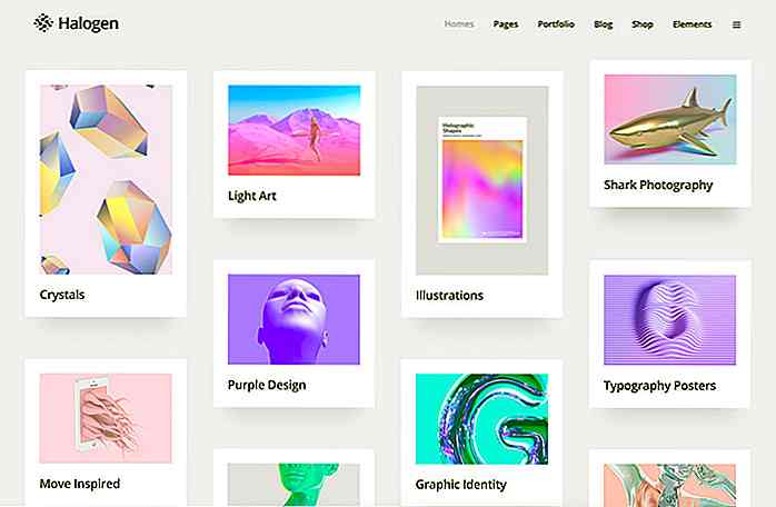 20 thèmes WordPress portefeuille coloré (gratuit et Premium)