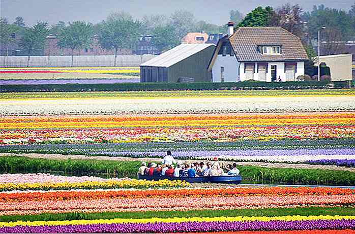 50 spectaculaire natuurgezichten die je moet zien voordat je sterft - deel II