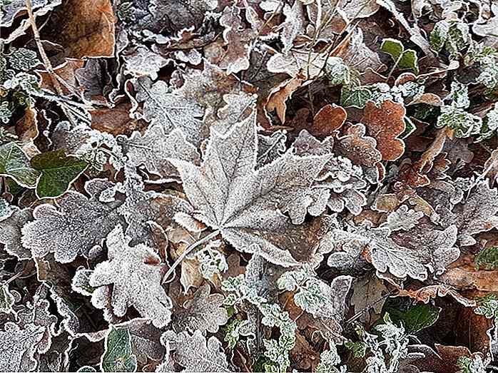 Vetrina di bellissimi sfondi invernali (2017)