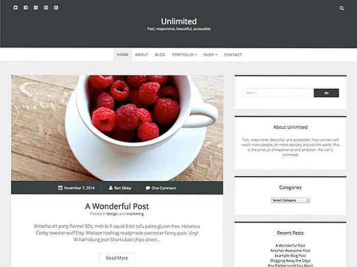 10 Beste toegankelijkheid WordPress-thema's