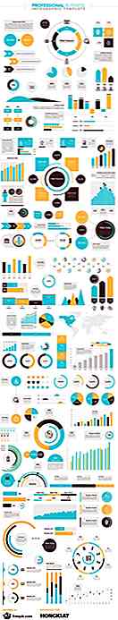 Freebie: modello di business professionale infografica