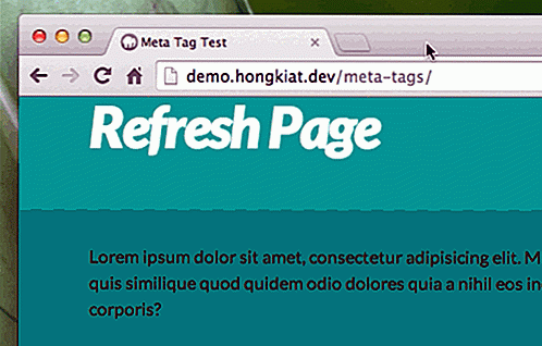 5 choses que vous pouvez faire avec HTML Meta Tag