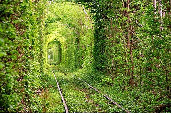30 túneles de árboles que te quitarán la respiración