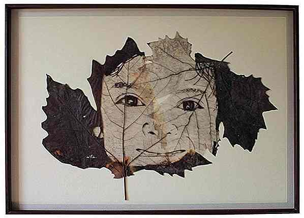 Impresionante arte de hojas por Lorenzo Manuel Durán