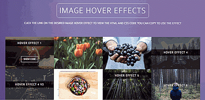 10 CSS-Bibliotheken für bessere Bild-Hover-Effekte